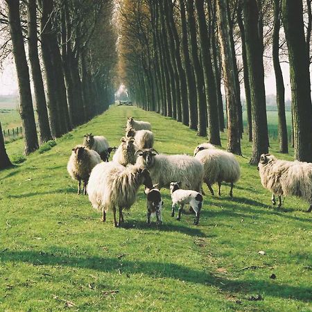 B&B Landgoed Rijckholt Geersdijk ภายนอก รูปภาพ