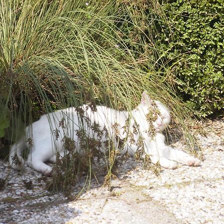 B&B Landgoed Rijckholt Geersdijk ภายนอก รูปภาพ