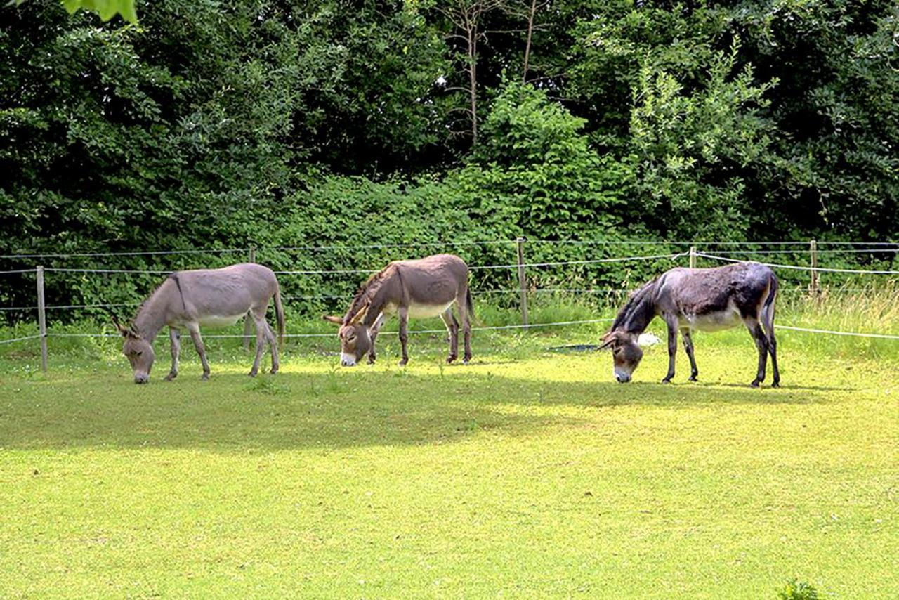 B&B Landgoed Rijckholt Geersdijk ภายนอก รูปภาพ