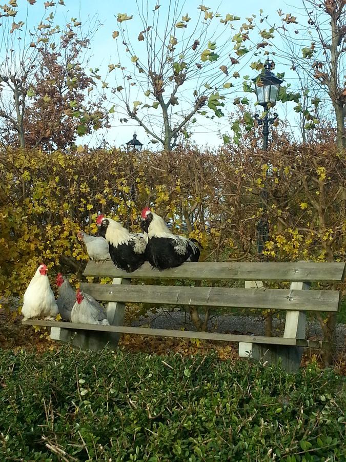 B&B Landgoed Rijckholt Geersdijk ภายนอก รูปภาพ